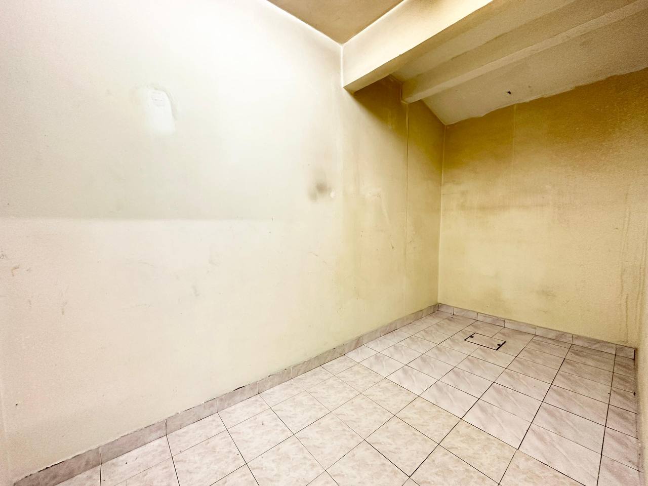 photo_2024-11-13_08-56-15