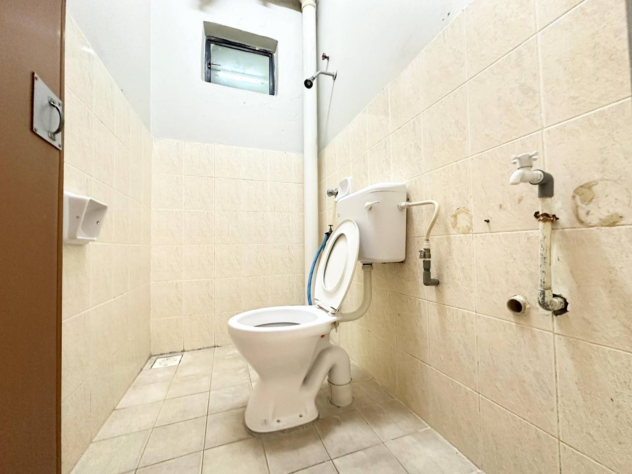 photo_2024-11-13_08-56-17