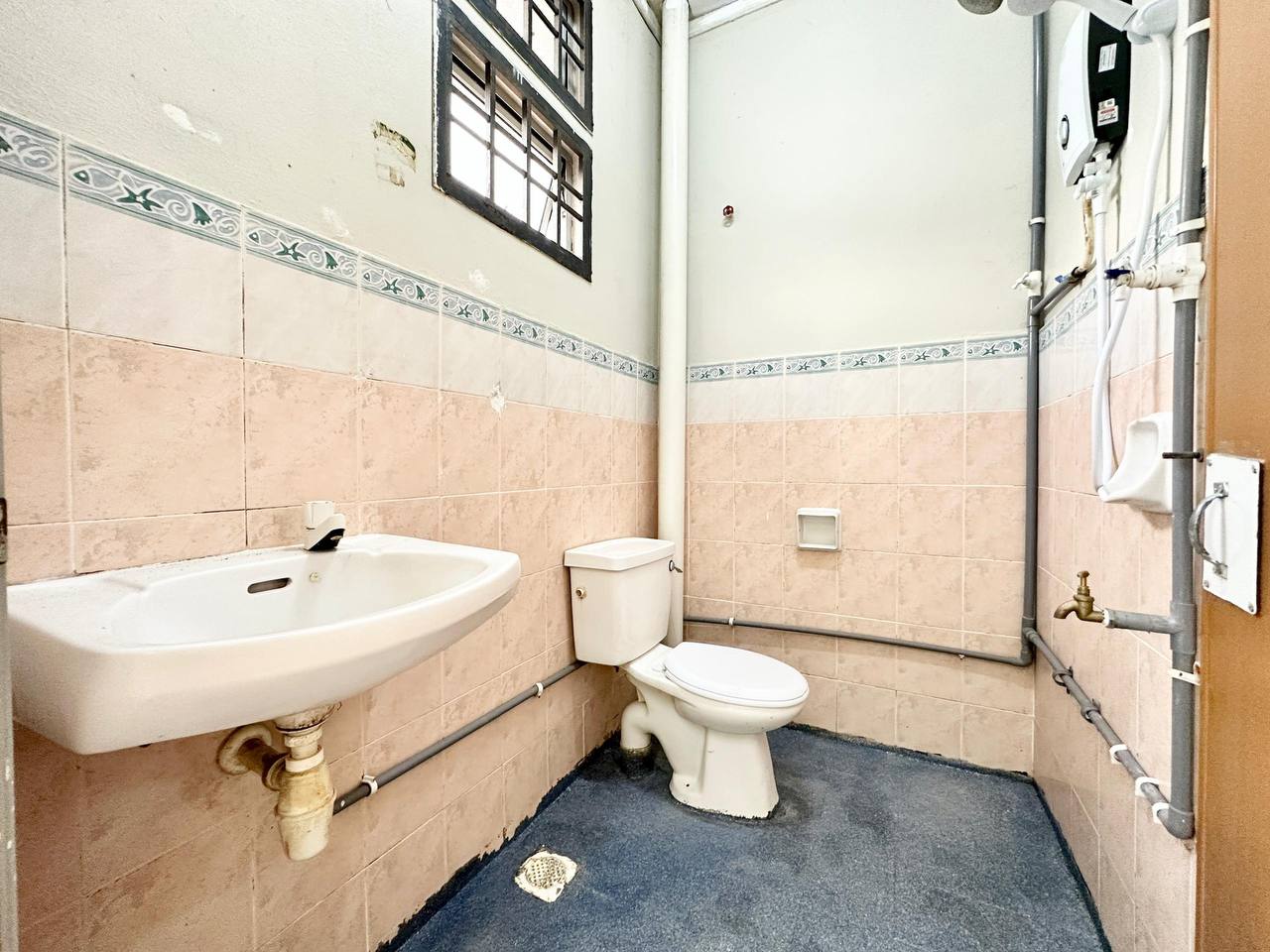 photo_2024-11-13_08-56-23