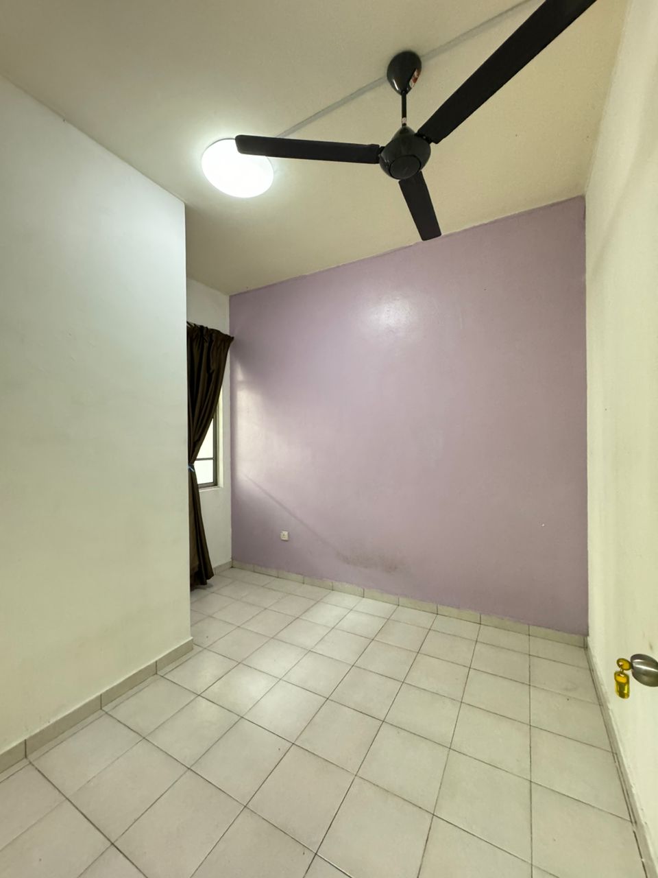 photo_2026-04-01_07-38-14