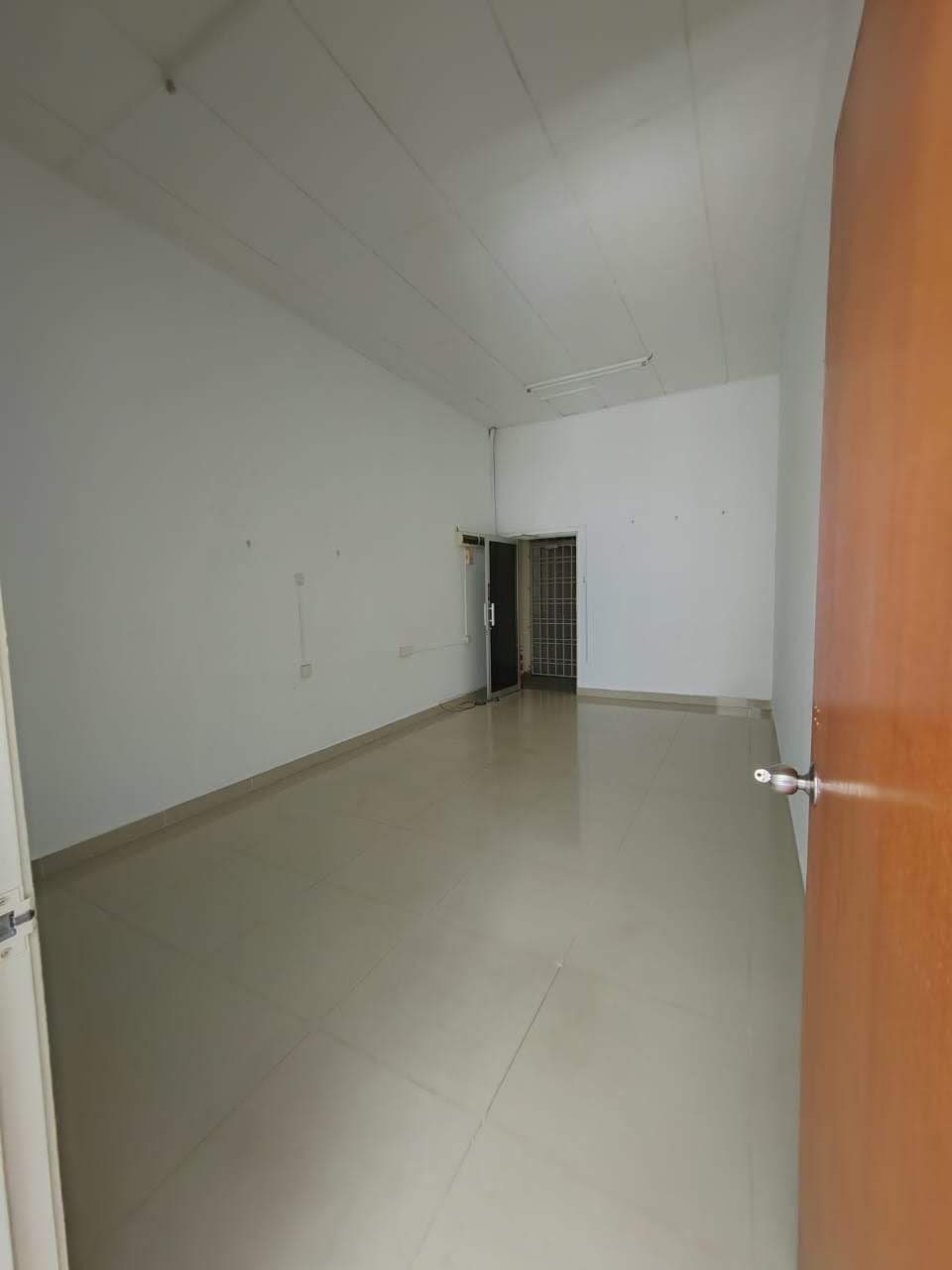 photo_2026-04-01_07-41-55