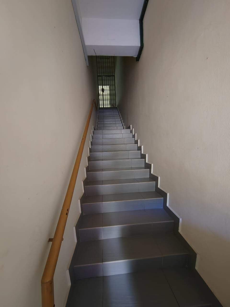 photo_2026-04-01_07-42-06