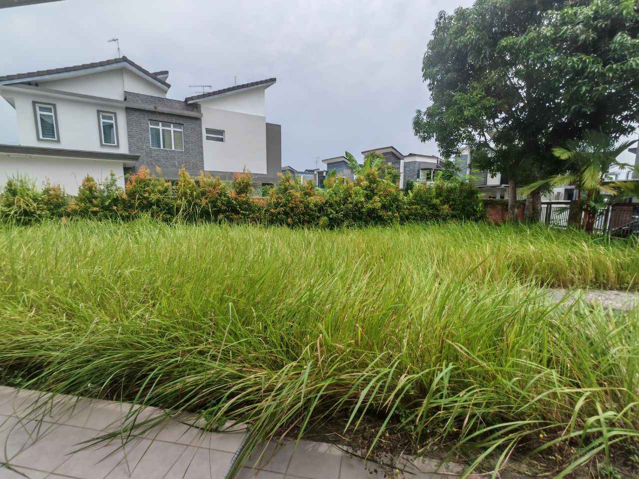 photo_2026-04-16_09-19-46_11zon