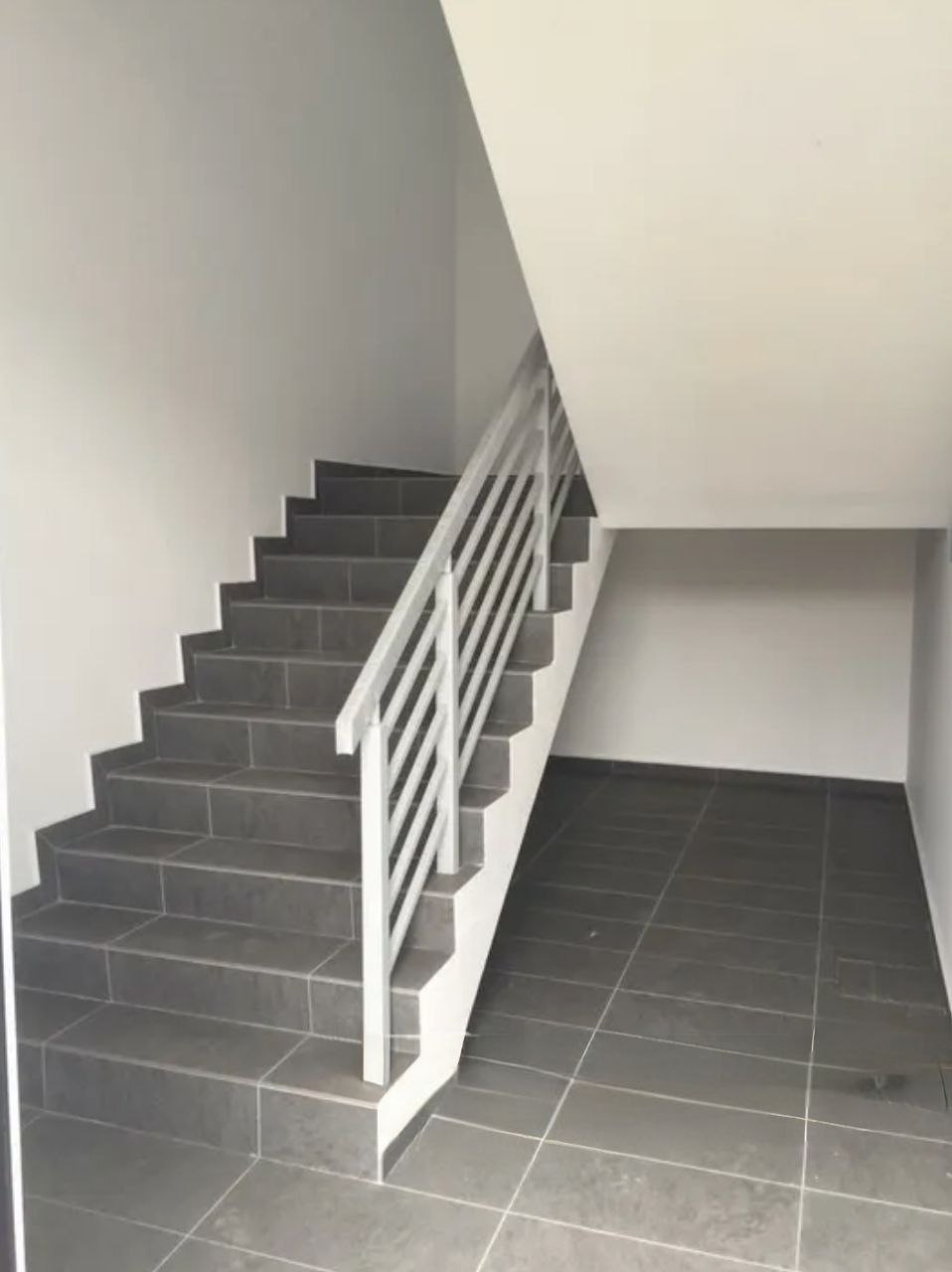 photo_2026-04-17_09-17-06