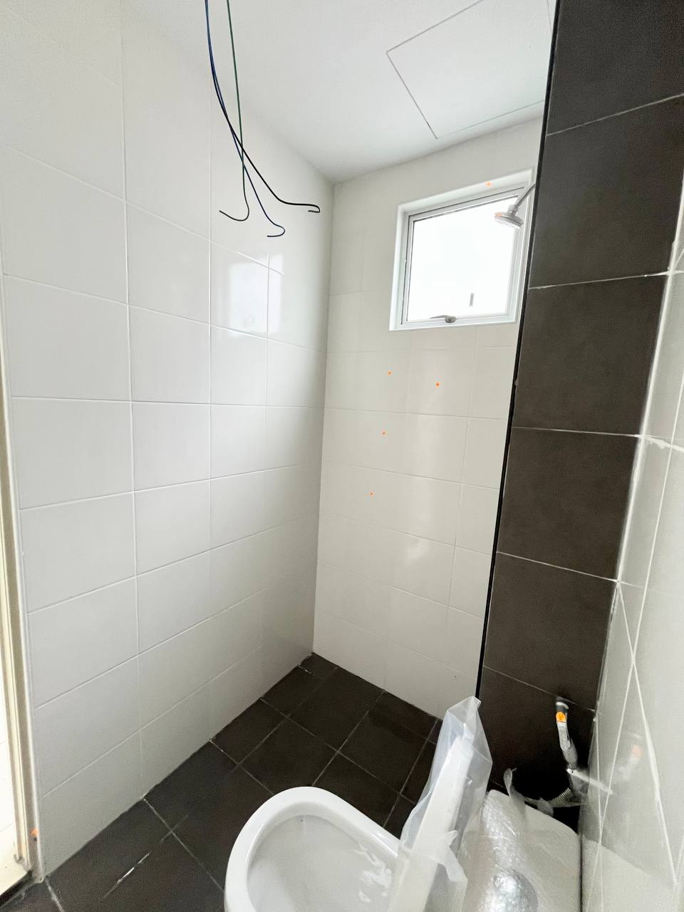 photo_2024-11-05_11-04-46