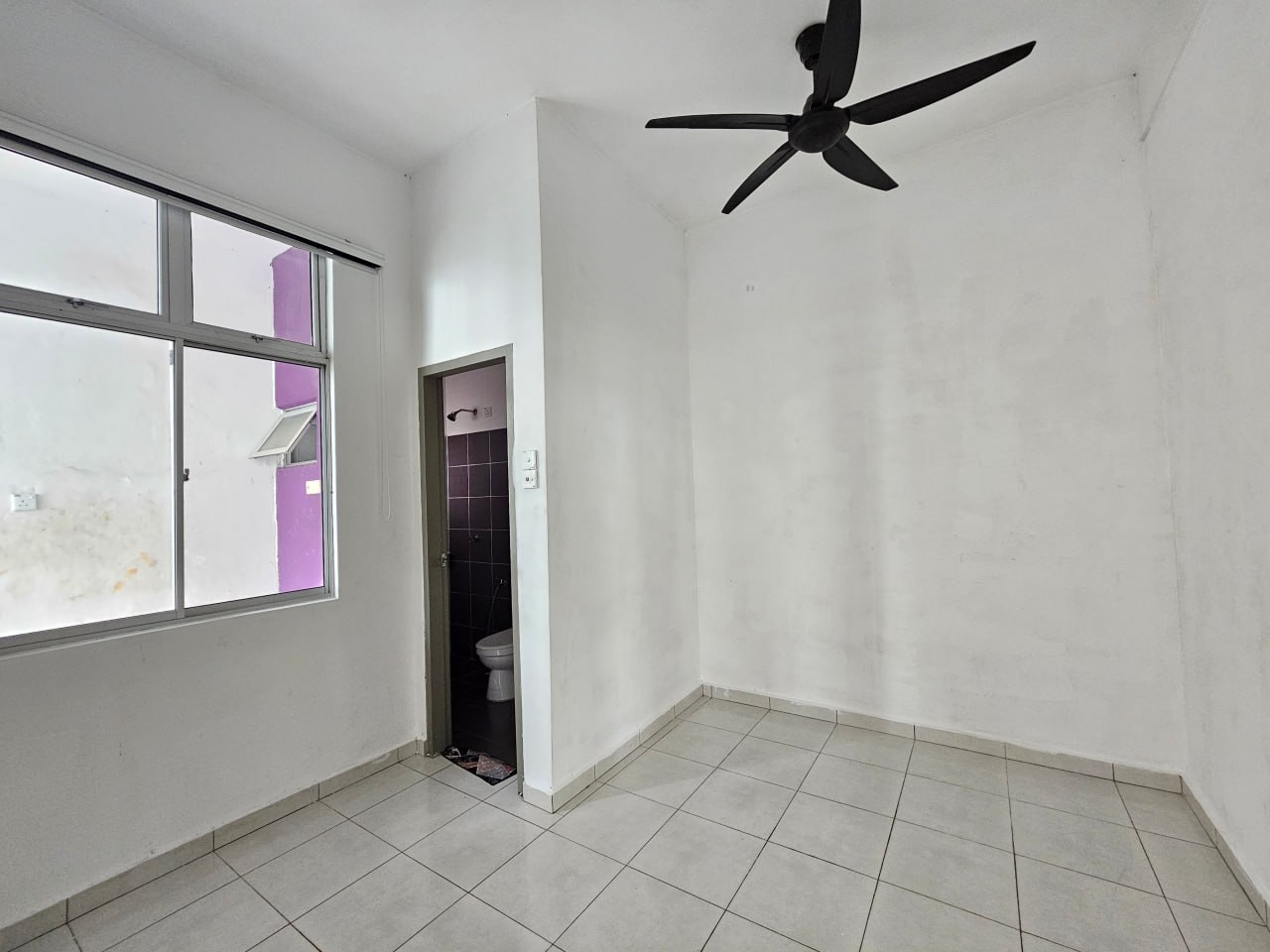 photo_2024-12-20_10-34-49